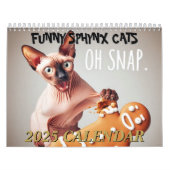 Calendrier 2025 Funny Sphynx Chats et Elf Sphynx Mur (Protection)