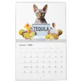Calendrier 2025 Funny Sphynx Chats et Elf Sphynx Mur (Jan 2026)