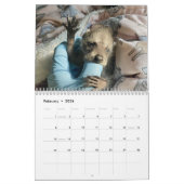 Calendrier 2025 Gordon Wildlife Raccoon (Feb 2026)