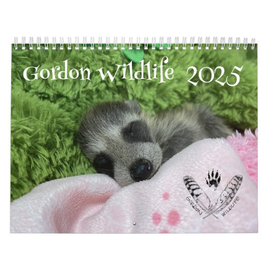 Calendrier 2025 Gordon Wildlife Raccoon (Protection)