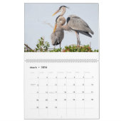 Calendrier 2025 Great Blue Heron Courting (Mar 2026)
