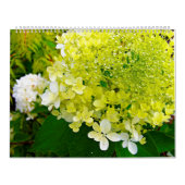 Calendrier 2025 My Rubio Garden Elegant Hydrangeas (Protection)