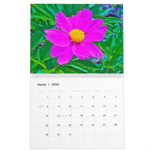 Calendrier 2025 My Rubio Garden Flowers (Mar 2026)