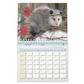 Calendrier 2025 Opossum Nature Faune (Jan 2026)
