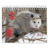 Calendrier 2025 Opossum Nature Faune (Protection)