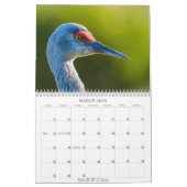 Calendrier 2025 Par la meilleure photographie de B (Mar 2026)