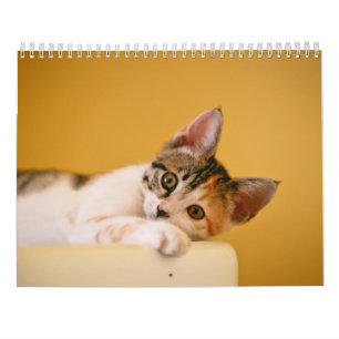 Calendrier 2025 Paws and Whiskers