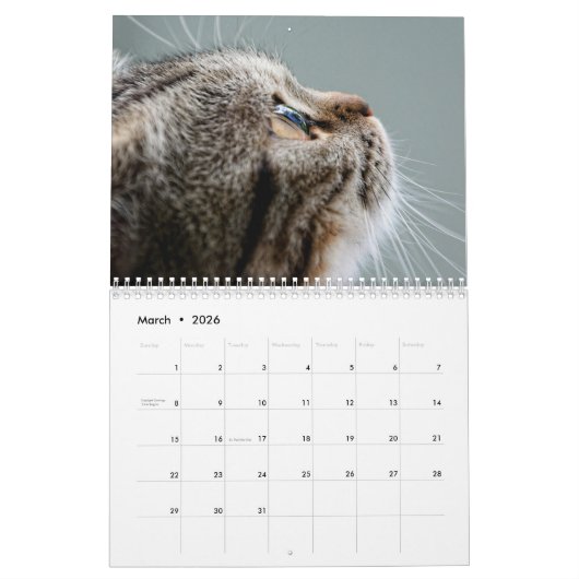 Calendrier 2025 Paws and Whiskers (Mar 2026)