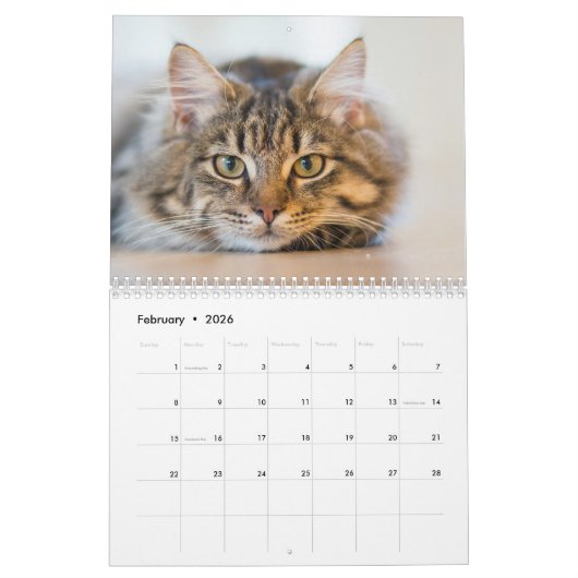 Calendrier 2025 Paws and Whiskers (Feb 2026)
