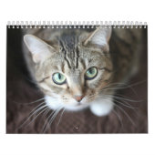 Calendrier 2025 Paws and Whiskers (Protection)