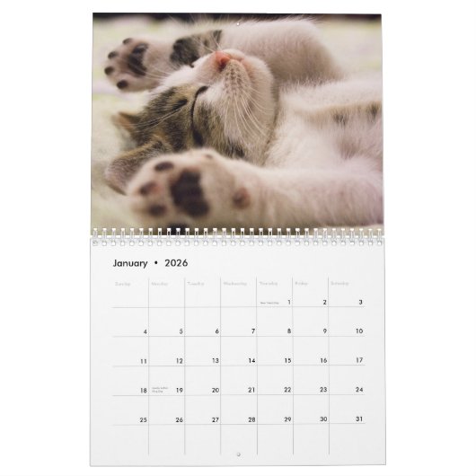 Calendrier 2025 Paws and Whiskers (Jan 2026)