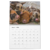 Calendrier 2025 Pig-Piglet (Mar 2026)
