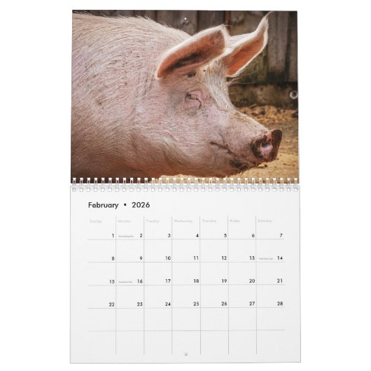 Calendrier 2025 Pig-Piglet (Feb 2026)