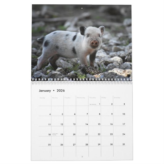 Calendrier 2025 Pig-Piglet (Jan 2026)