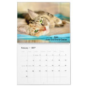 Calendrier 2025 Precious Paws (Feb 2027)