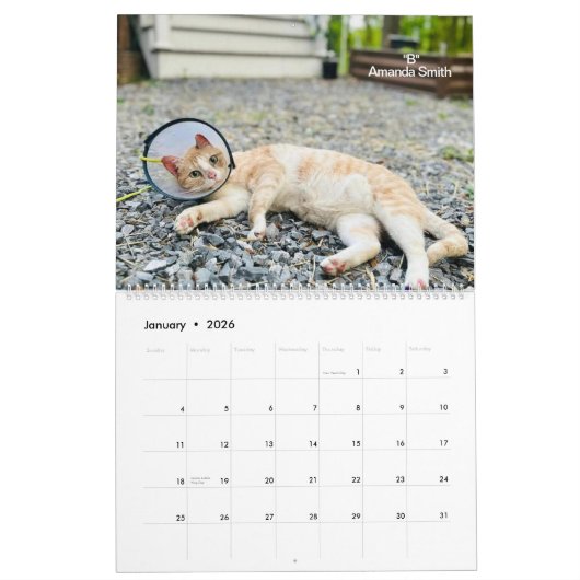 Calendrier 2025 Precious Paws (Jan 2026)