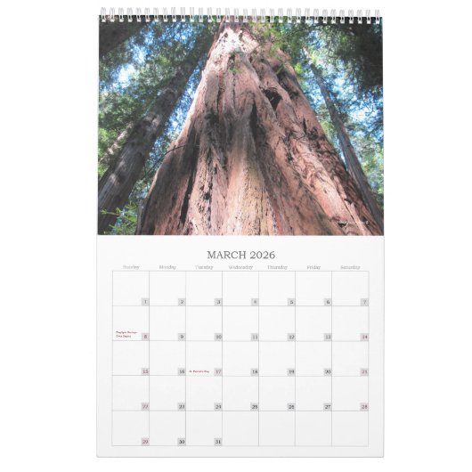 Calendrier 2025 Richardson Grove Feuille simple (Mar 2026)