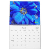 Calendrier 2025 will be colorful calendar (Mar 2027)