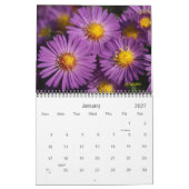 Calendrier 2025 will be colorful calendar (Jan 2027)