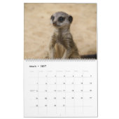 Calendrier 2026 Animaux de bébés (Mar 2027)