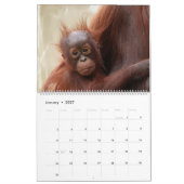 Calendrier 2026 Animaux de bébés (Jan 2027)