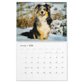 Calendrier 2026 Australian Shepherd Cattle Dogs Aussies Gift (Jan 2026)