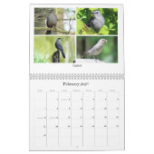 Calendrier 2026 Backyard Birding Calendar (Feb 2027)