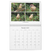 Calendrier 2026 Backyard Birding Calendar (Jan 2026)