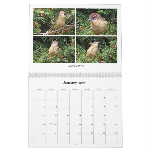 Calendrier 2026 Backyard Birding Calendar (Jan 2026)