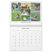 Calendrier 2026 Backyard Birding Calendar (Mar 2026)