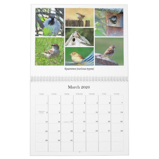 Calendrier 2026 Backyard Birding Calendar (Mar 2026)