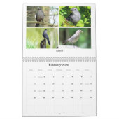 Calendrier 2026 Backyard Birding Calendar (Feb 2026)