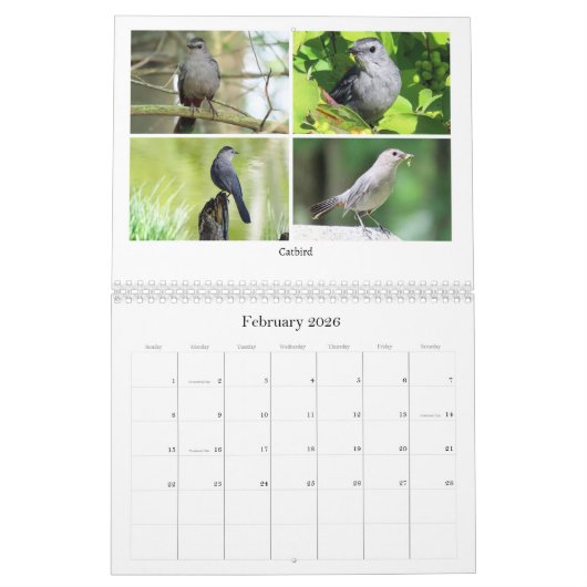 Calendrier 2026 Backyard Birding Calendar (Feb 2026)