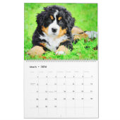 Calendrier 2026 Bernese Mountain Dog Mama Lover Owners Gift (Mar 2026)