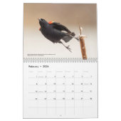 Calendrier 2026 Birds of the North: Great Lakes Calendar (Feb 2026)