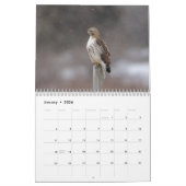 Calendrier 2026 Buse à queue rouge dans la vallée de l'Hudson (Jan 2026)