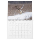 Calendrier 2026 Buse à queue rouge dans la vallée de l'Hudson (Feb 2027)