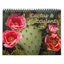 2026 Cactus & Fleur Succulente (Version originale)