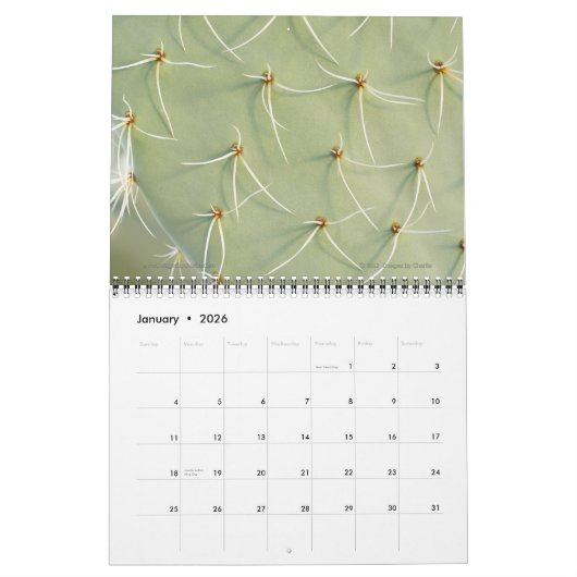 Calendrier 2026 Cactus & Fleur Succulente (Version originale) (Jan 2026)