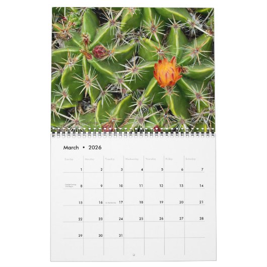 Calendrier 2026 Cactus & Fleur Succulente (Version originale) (Mar 2026)