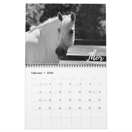 Calendrier 2026 Calendar (Feb 2026)