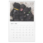 Calendrier 2026 Calendar Portuguese Water Dog (Mar 2026)