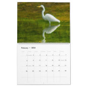 Calendrier 2026 CALENDAR:THE ART OF BATHING by A.GRATE EGRET  (Feb 2026)