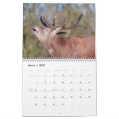 Calendrier 2026 Captivant Red Deer (Mar 2027)