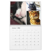 Calendrier 2026 Cat Calendar (Jan 2026)