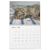 Calendrier 2026 Chats de l'Oklahoma City Animal Shelter (Feb 2026)