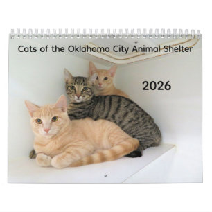 Calendrier 2026 Chats de l'Oklahoma City Animal Shelter