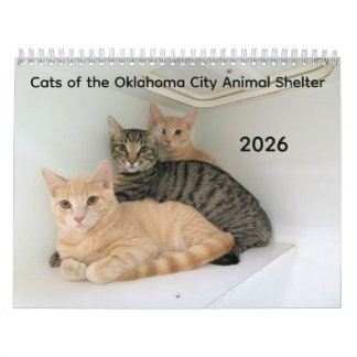 Calendrier 2026 Chats de l'Oklahoma City Animal Shelter
