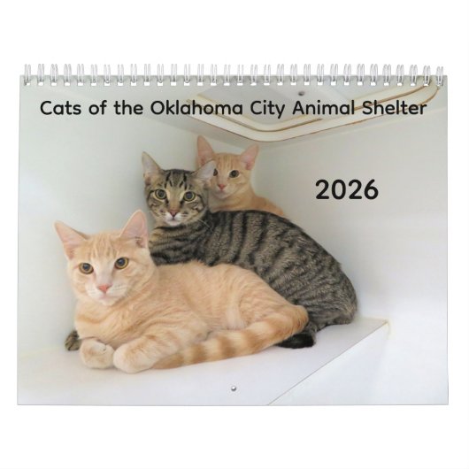 Calendrier 2026 Chats de l'Oklahoma City Animal Shelter (Protection)