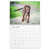 Calendrier 2026 Chocolate Lab Dog Lama Gift Labrador Lovers (Mar 2026)
